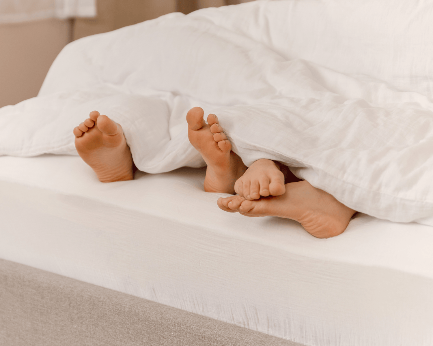Welche Matratze ist besser: Schaumstoff oder Federkern?